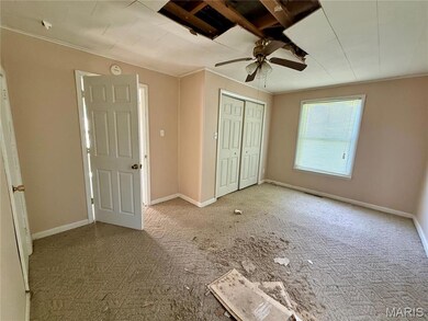 802 E Main St, Christopher, IL 62822 - photo 7