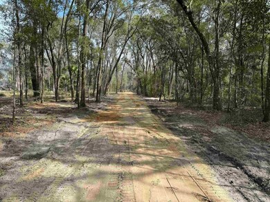 Lot 9 Caliente Dr, Crawfordville, FL 32327 - photo 2