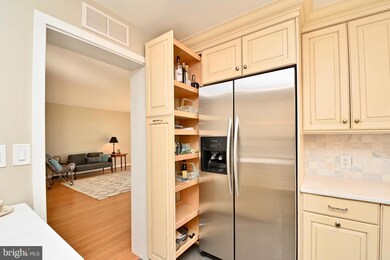 5901 Mount Eagle Dr unit 1509, Alexandria, VA 22303 - photo 6