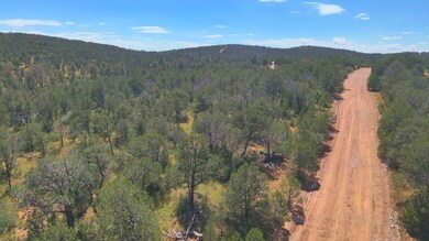 0 Ranger Ave unit 25579528, Timberon, NM 88350 - photo 4