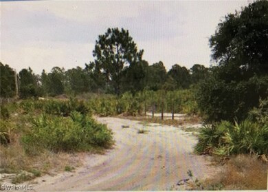 16250 Grace Ct, Fort Myers, FL 33913 - photo 3