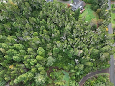 0 Prosper Junction Rd, Bandon, OR 97411 - photo 7