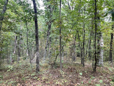 1154 Cold Spring Roa Cold Spring Rd, Clinton Corners, NY 12514 - photo 7