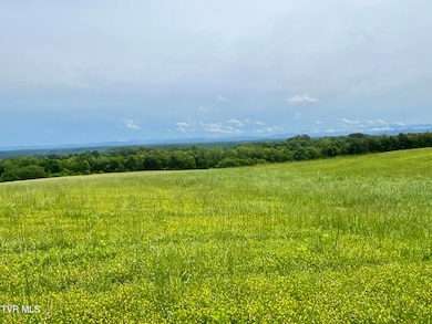 2034 River View Dr unit 1, Morristown, TN 37813 - photo 6