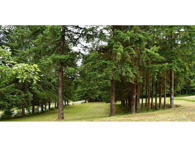 130 Spruce Creek Rd, Longview, WA 98632 - photo 7