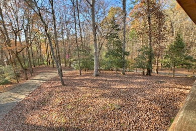 200 Lookiba Ln, Ellijay, GA 30540 - photo 6