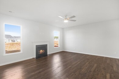 4033 Francis Spring Pkwy, Inman, SC 29349 - photo 6