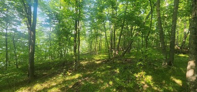 TBD Catherine Ln, White Earth Township, MN 56589 - photo 4