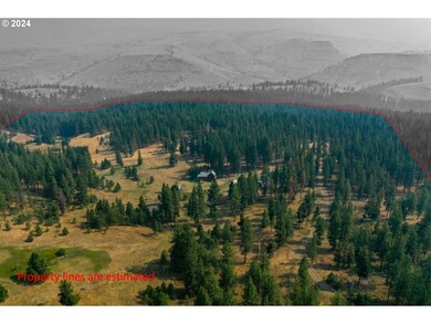 61016 Low Gap Ln, Long Creek, OR 97856 - photo 7