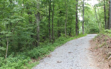Additional View