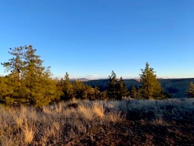 31775 Ruffed Grouse Dr E, Davenport, WA 99122 - photo 2