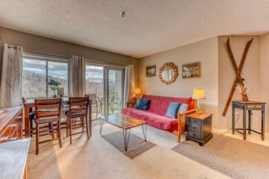 36 Lodge Rd unit C208, Lincoln, NH 03251 - photo 3