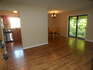 1227 Chalet Rd unit 300, Naperville, IL 60563 - photo 3