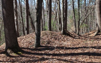 Additional View