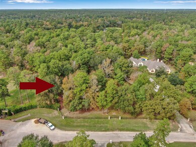 38242 Windy Ridge, Magnolia, TX 77355 - photo 5