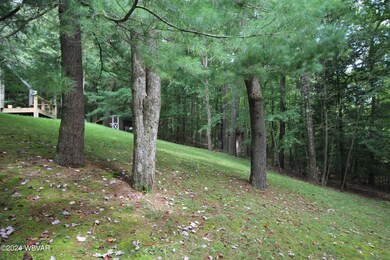 IMG_4217 - Copy