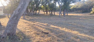 954 Maximino Ridge, Bulverde, TX 78163 - photo 2