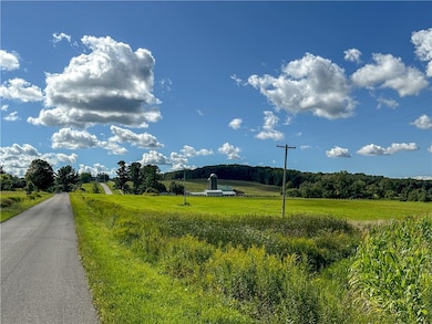 0 Kidder Rd, Mina, NY 14781 - photo 4