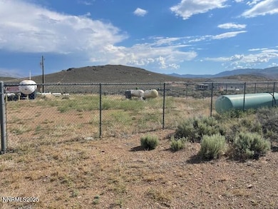 4249 Nevada 208, Smith Valley, NV 89444 - photo 2