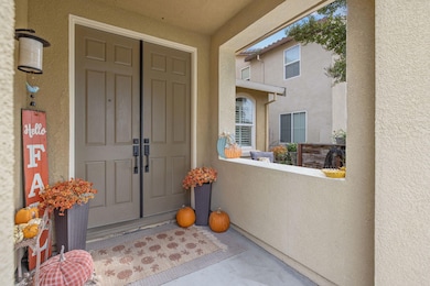 6-web-or-mls-713A2615