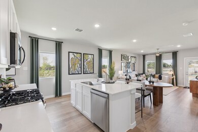 156 Gracefly Sage Ln, Lavon, TX 75166 - photo 4