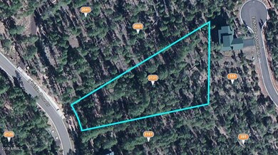 2121 S Bristlecone Dr unit 350, Show Low, AZ 85901 - photo 3