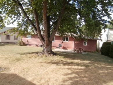 Back yard