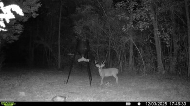 Parcel 1/D Sunburst Dr, Crestview, FL 32539 - photo 5