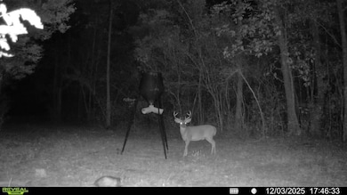 Parcel 1 Sunburst Dr, Crestview, FL 32539 - photo 3