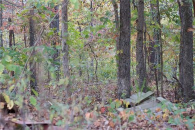 0 Dily Cir unit 1163213, Bella Vista, AR 72715 - photo 5