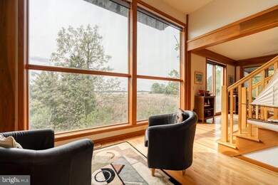 5919 New St, Rock Hall, MD 21661 - photo 6