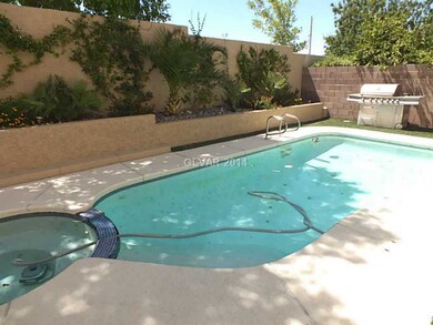 Swimming Pool/Hot Tub/Sauna. Sparkling Pool and Sp