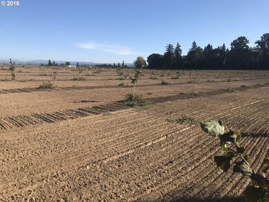 8515 S Schneider Rd, Canby, OR 97013 - photo 5