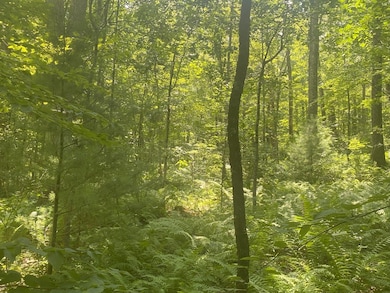 Lot 2R &3 Chapin Rd, Hampden, MA 01036 - photo 4