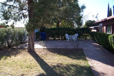 Back Patio
