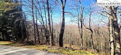 Lot 22 Ski Acres Dr, Blowing Rock, NC 28605 - photo 4