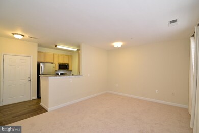 22607 Blue Elder Terrace unit 204, Ashburn, VA 20148 - photo 5