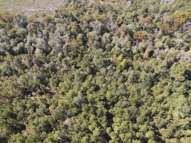 TBD S Main St, Blountstown, FL 32424 - photo 4