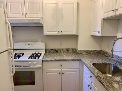 225 E Berkeley St unit PH, Boston, MA 02118 - photo 2