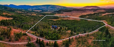 70 Sheep Creek Trail, Fairplay, CO 80440 - photo 5