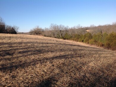 1 Timber Creek, Lawrenceburg, KY 40342 - photo 3