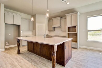 1200 Big Sky Dr, Weatherford, TX 76086 - photo 6