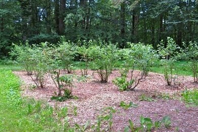 108 Buffam Rd, Pelham, MA 01002 - photo 6