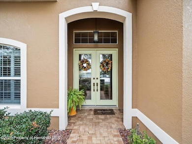 8480 Athens Ct, Weeki Wachee, FL 34613 - photo 3