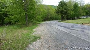 0 Hessinger and Lare Rd, Youngsville, NY 12791 - photo 7