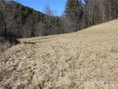 00 Will Anglin Rd, Price Creek, NC 28714 - photo 6