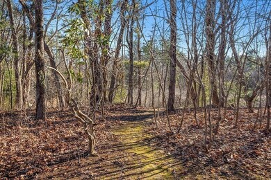 31 Ward Rd, Sudbury, MA 01776 - photo 4