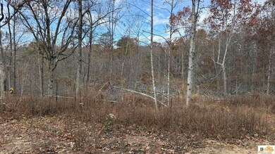 0 Gaddie Cottrell unit SC47484, Bonnieville, KY 42713 - photo 2