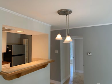 Kitchen with a breakfast bar, decorative light fi