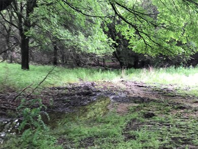 1486 Sage Ct, Whitney, TX 76692 - photo 6